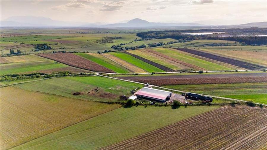 FILM! Zona extinsa, teren mixt,18.000 mp, ideal agro-investitii, Rotbav, Brasov - 5