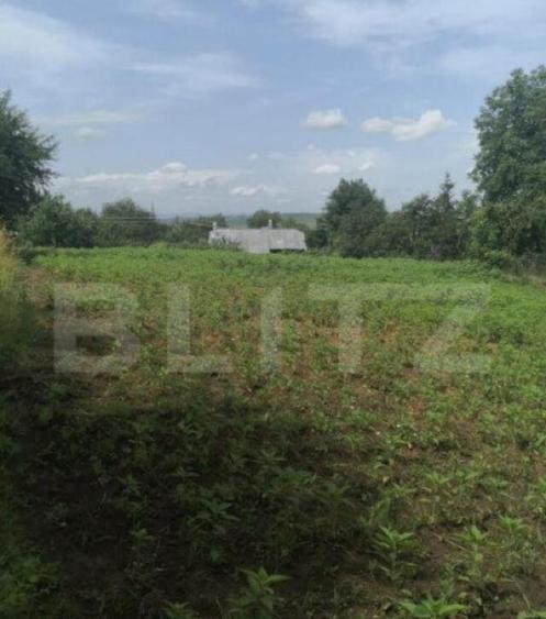 Casa Individuala Sf. Ilie Vechi 2300mp - 12