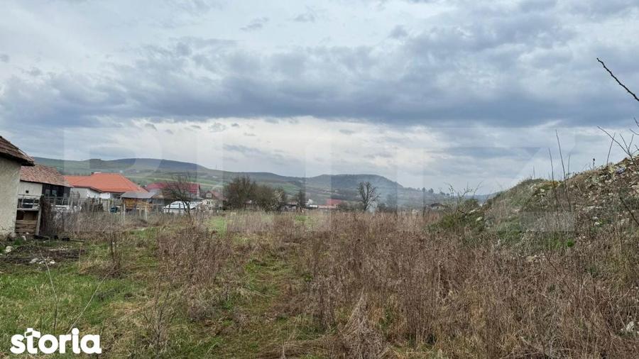 Teren Pentru Constructii 9292 mp- zona Cuzdrioara - 3