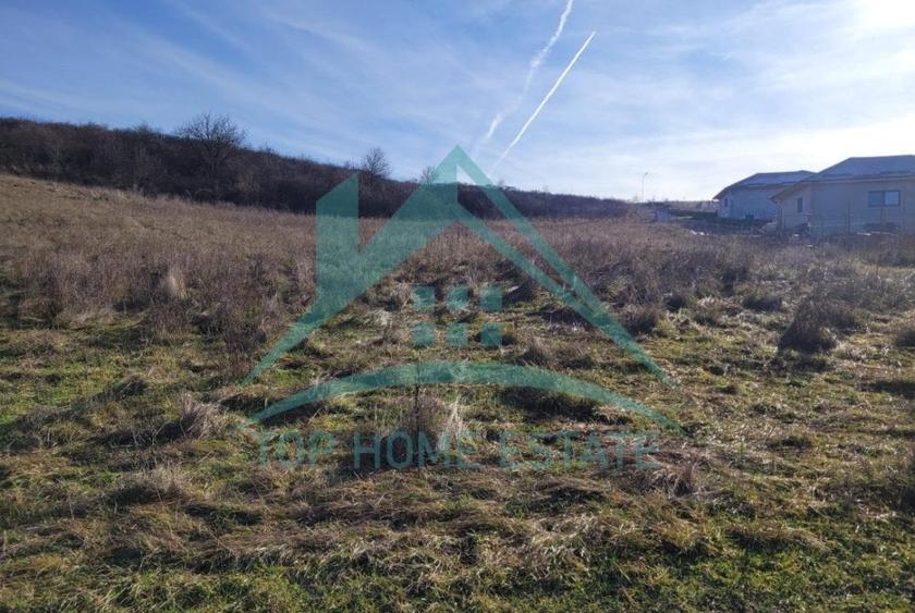 Oportunitate de investitie! Teren intravilan de vanzare in zona lacului Chinteni - 2