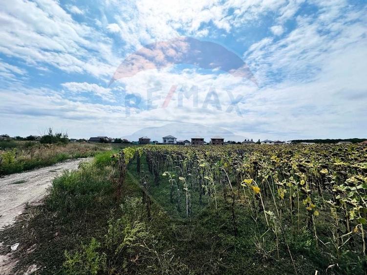 Teren 14.863mp, deschidere 42mp, acces 3 laturi - Ciorogarla, langa A0 - 5