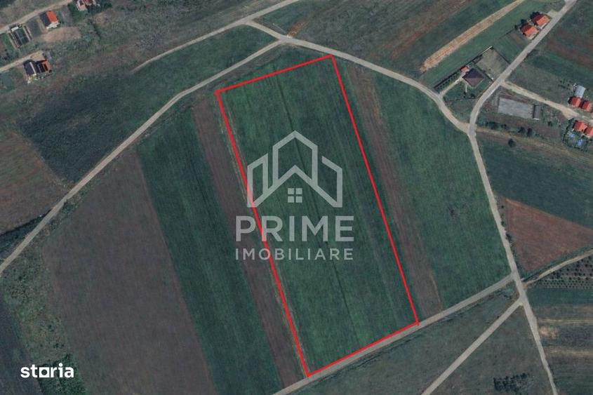 Teren intravilan ideal pentru dezvoltare rezidentia | 6450mp - 1