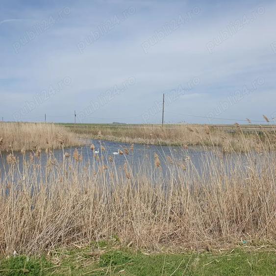 Vand casa la tara - 10