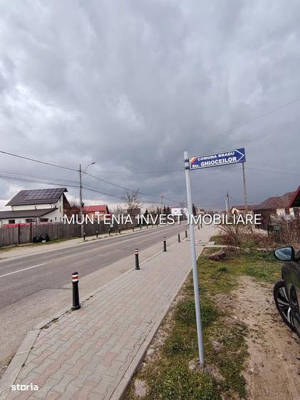 Oferta pretabil investitie! Teren 7000 mp. Bradu, stradal - 7
