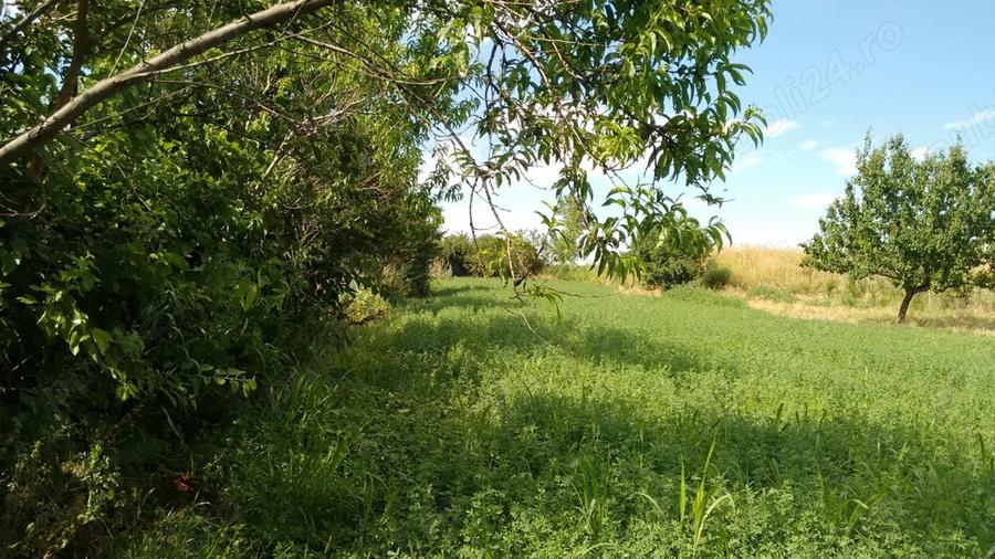 Casa de vanzare - sat. Vasile Alecsandri, jud. Galati - 6