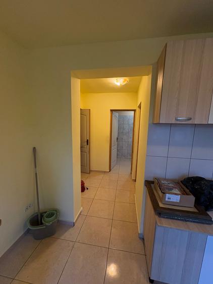 Casa de vanzare, judetul Timis - 3