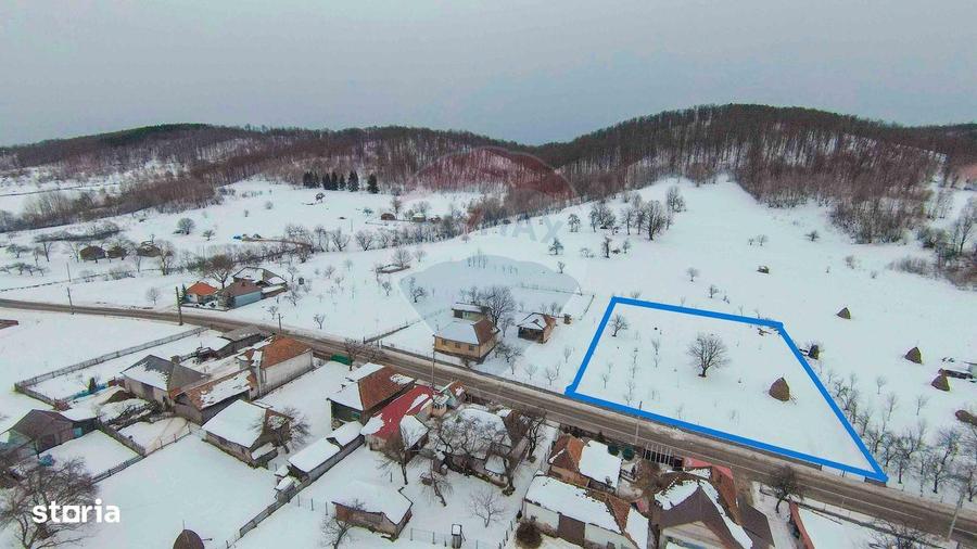 Teren intravilan, de vanzare in Dami?- Bratca pe Strada Principala 274 - 3
