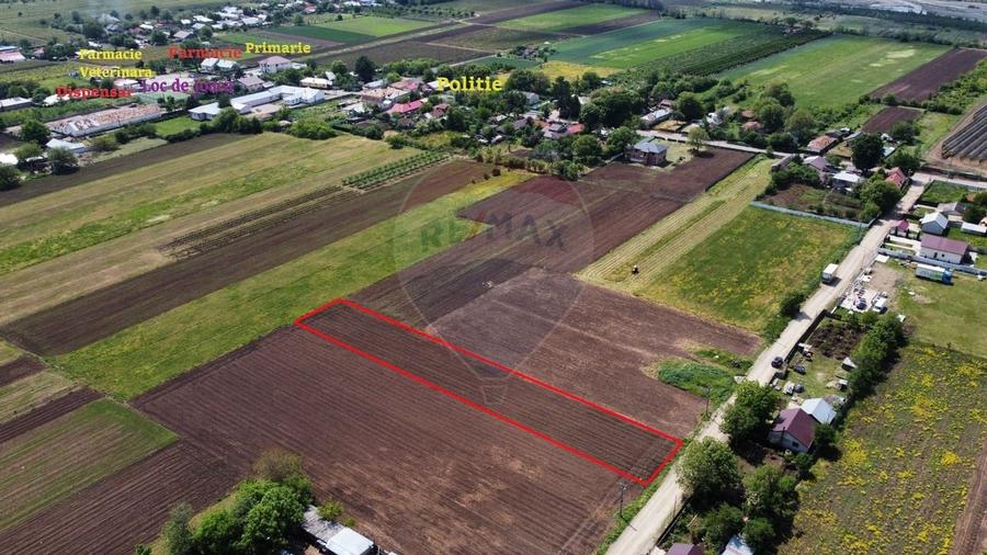 Teren Tifesti / Strada Secundara 47 - 1