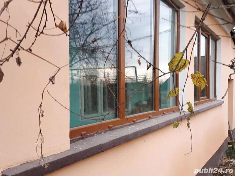 Vand casa la tara cu 2.800 mp teren Chislaz, jud. Bihor - 9