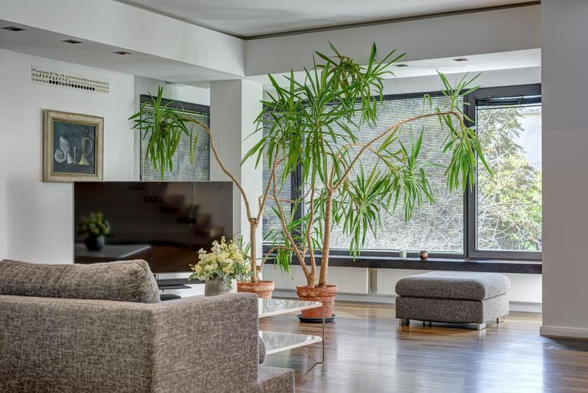 Închiriere Penthouse Duplex 350 mp  | Terase 130 mp | Floreasca - 5