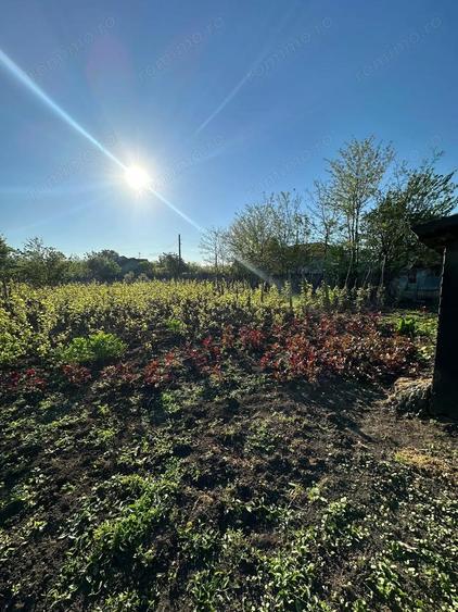 Direct proprietar: Casa demolabila + teren 1167 mp - 1