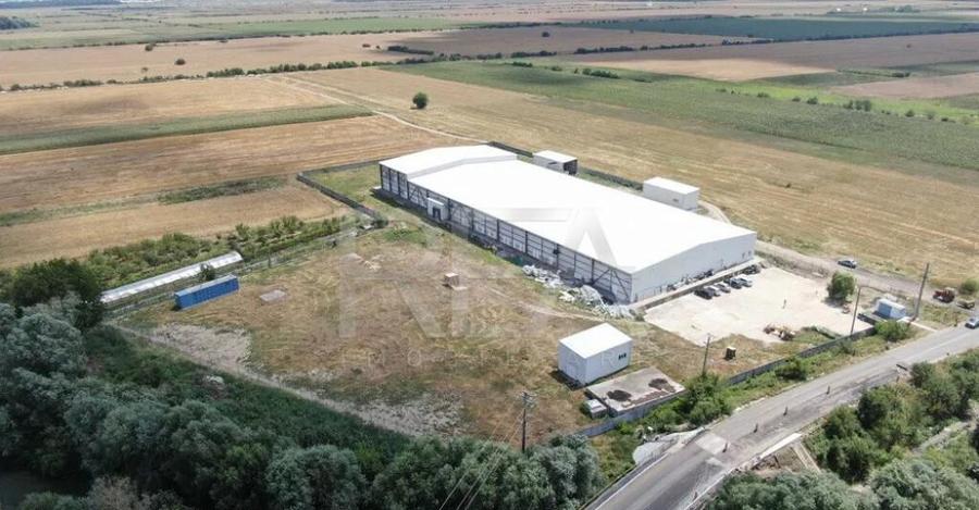 Hala temperatura controlata | Depozitare/Productie | Vidra\C - 6