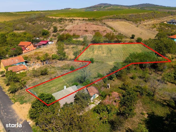 Minis- destinatia ideala pentru o resedinta de lux in inima naturii. - 5