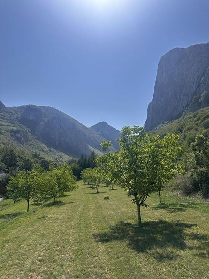 Teren de vanzare zona Valisoara Jud Alba - 2
