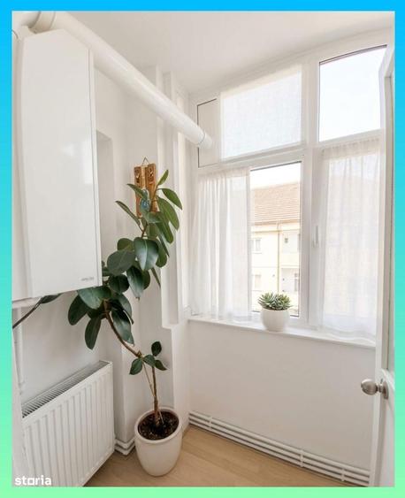 Caut colega apartament decomandat, Calea Dumbravii, 160 eur - 4