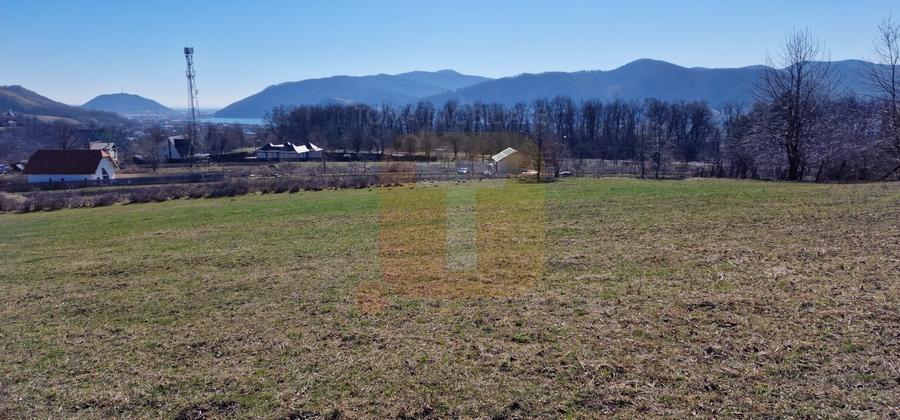 Teren intravilan de 4.000 mp în Bistrița – Alexandru cel Bun - 23