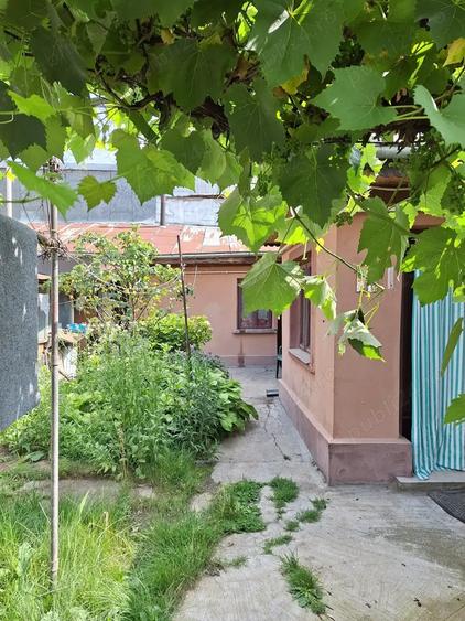 Casa curte paianta sector 5 str Pitpalacului nr 1 - 1