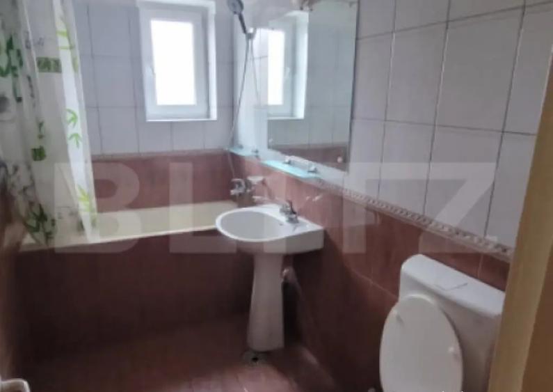 Apartament cu 2 camere, spatiu birouri, Brazda lui Novac - 4