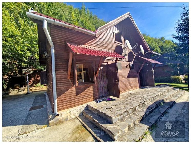 Casa de vacanta!!! Valea Bozom- Apata - 21
