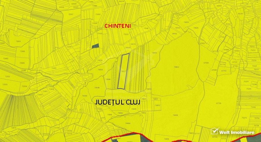 29.000 mp padure in Padureni (Chinteni), 100% material lemnos - 2