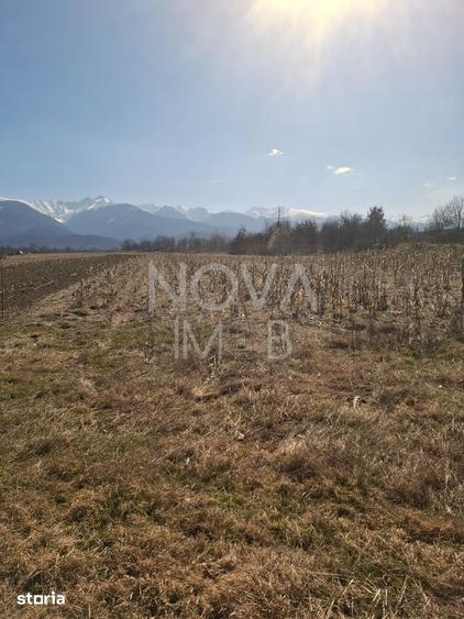 Teren de 2100 mp, în Central