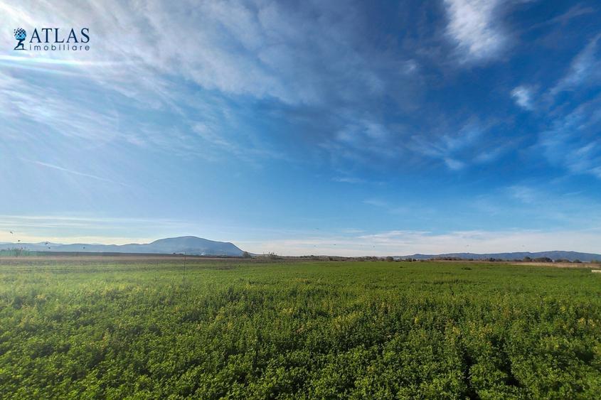 Teren ideal dezvoltare rezidențială, 8.121 mp, PUZ aprobat, utilități, Stupini - 6