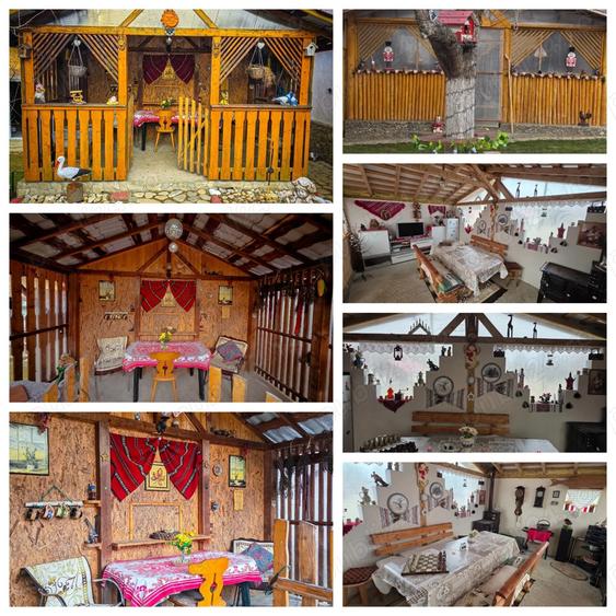 Se vinde: 2 case si o gradina de vis - 4