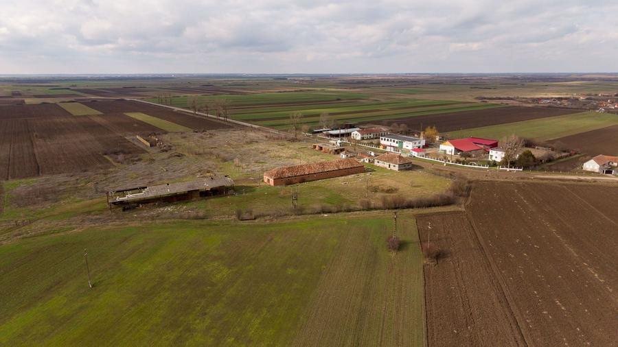 Fermă cu teren intravilan de 35000 mp în Mișca - 10