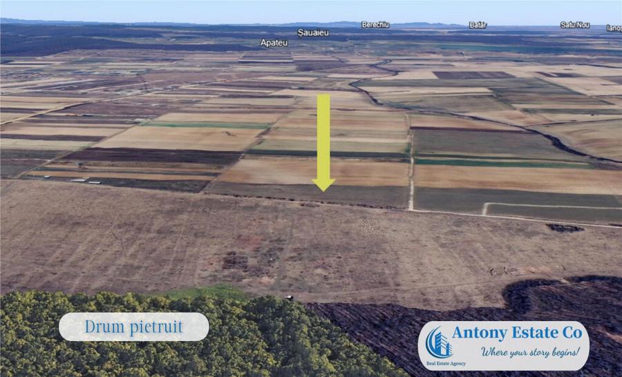 Oportunitate de investitie - Teren Cihei, langa Padurea Nojo - 2