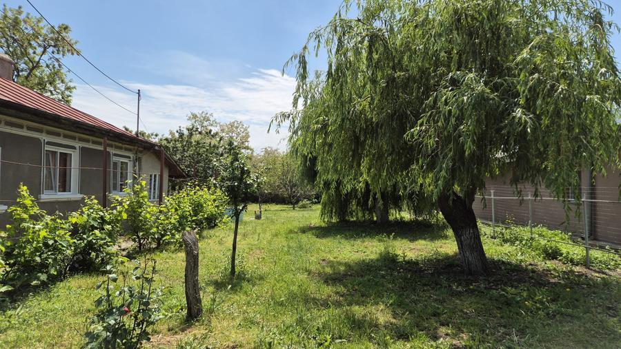 Casa si teren 1005 mp de vanzare in Platonesti strada principala - 4