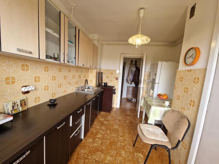 Pe cel mai frumos bulevard din oraș CORNELIU COPOSU-terasa cu vedere spre Bega - 29