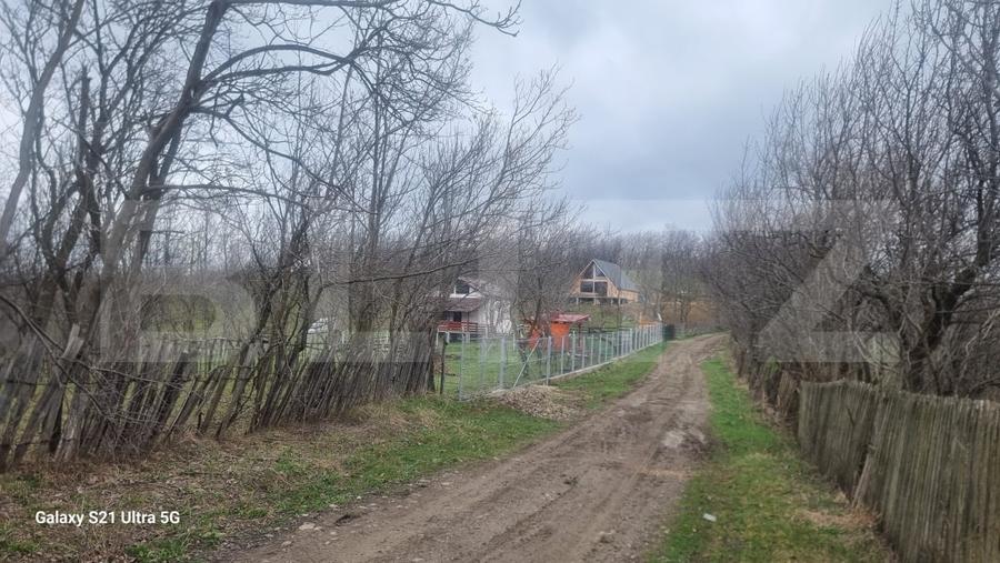 Teren Construcții intravilan de 3781 mp, în Schiulești