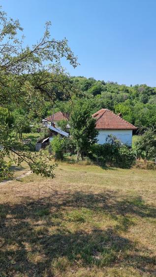Casă individuală cu 2 camere cu Teren 3800 Mp în Berislăvești