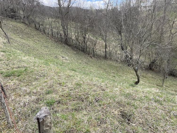 vand 2300m2 teren intravilant comuna secaria - 4