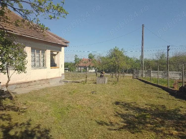 Casă cu 3 camere cu Teren 4123 Mp în Viile Satu Mare