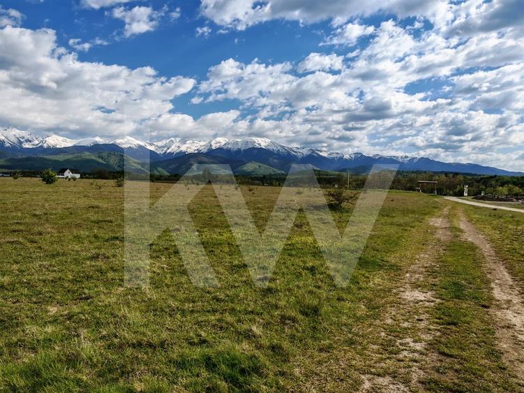 Teren agricol intravilan de 21573.5 mp, în Avrig