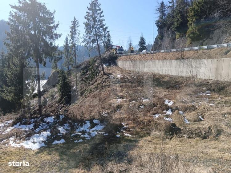 Teren intravilan de vanzare 3100 mp Colibita, front lac 70 - 5