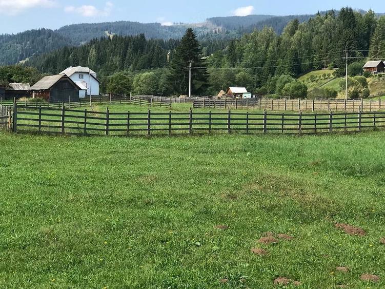 Teren de 10000 mp, în Șaru Dornei