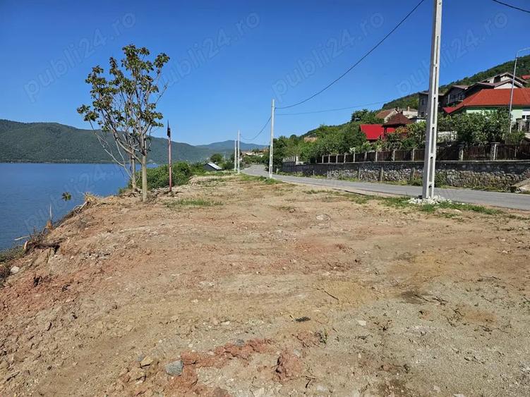 Teren în Svinița