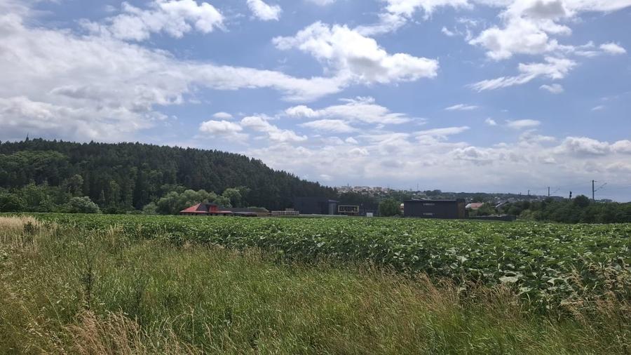 Teren Construcții extravilan de 5000 mp, în Șcheia