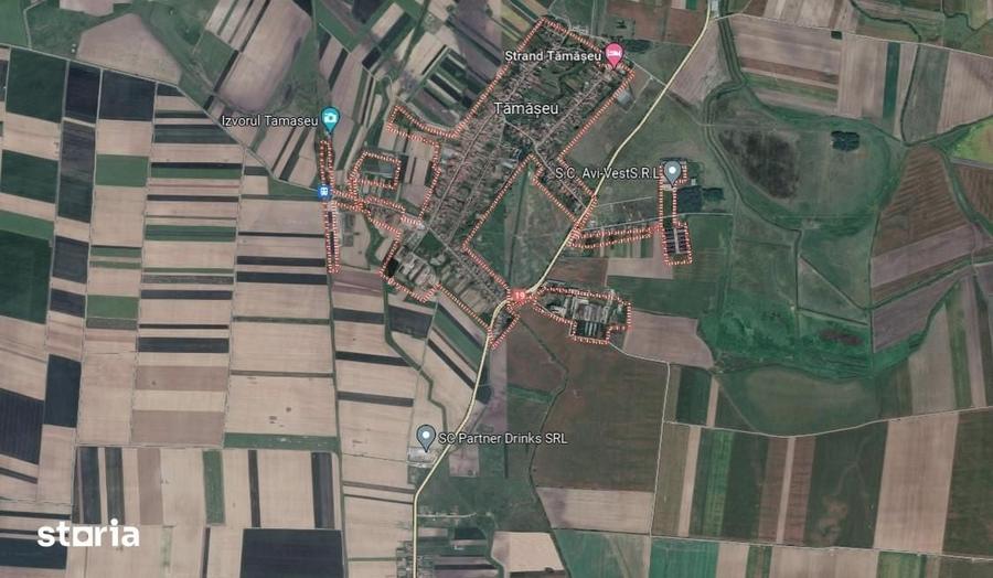 Teren de 5000 mp, în Tămășeu
