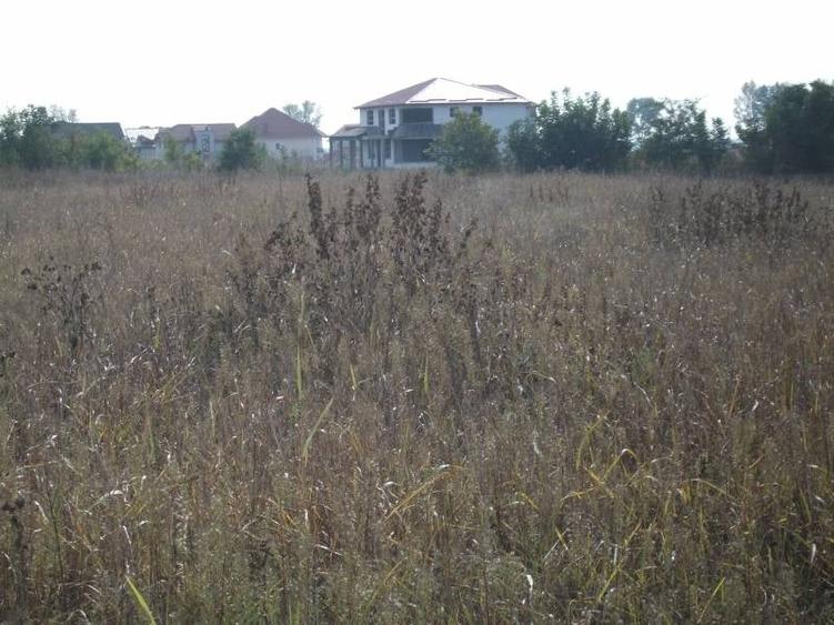 Teren Construcții intravilan de 12500 mp, în Exterior Vest