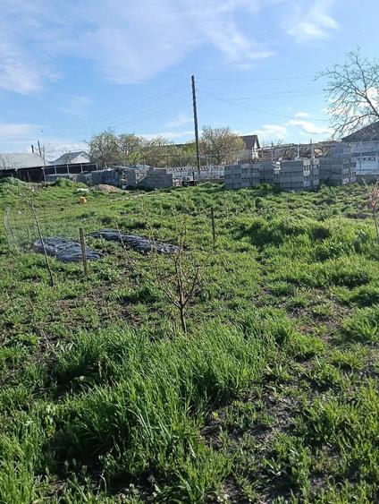Casă cu Teren 1000 Mp în Țigănești