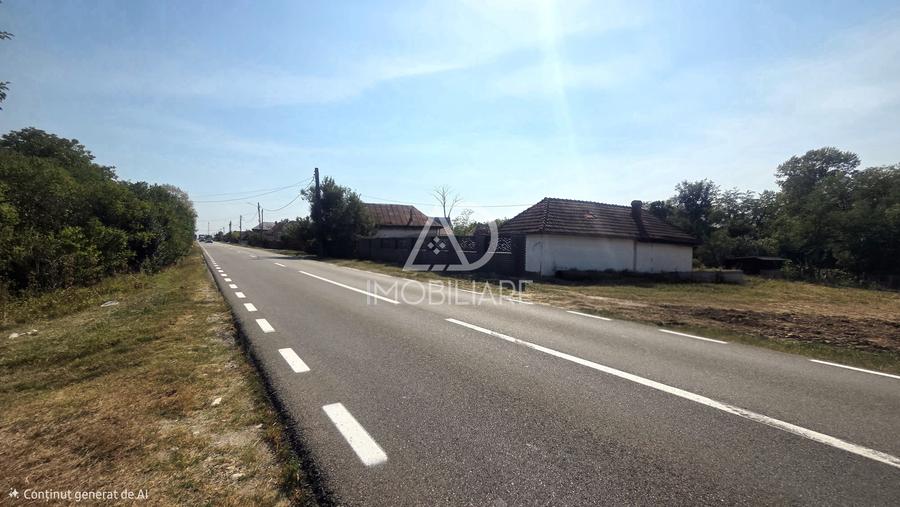 Casă individuală cu 3 camere cu Teren 1672 Mp în Pojogeni