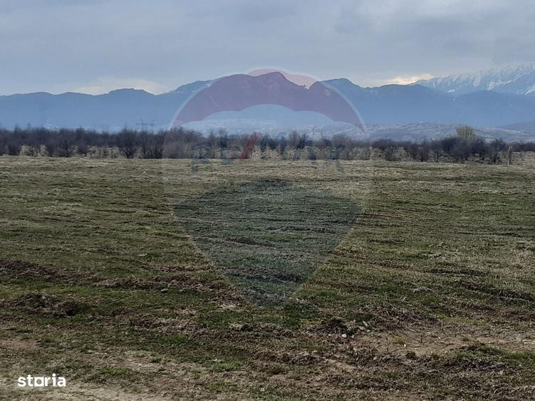 Spațiu comercial, în Pănicel