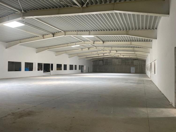 Spațiu industrial, de 4,600 mp, în Sânandrei
