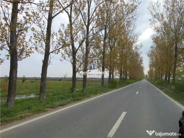 Teren de 5000 mp, în Ciolpani