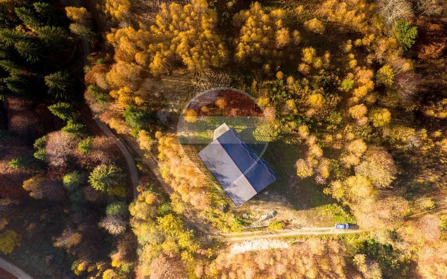 Hotel/Pensiune, de 377.5 mp, în Plaiul Foii