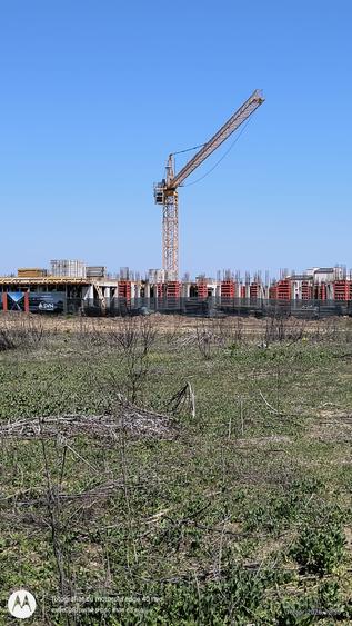 Vanzare 1000 mp intravilan - 3