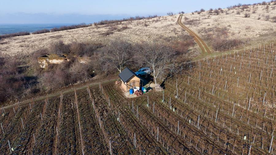 Teren agricol extravilan de 6800 mp, în Covăsinț